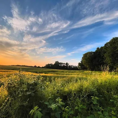 Mit Garten In Zweedorf