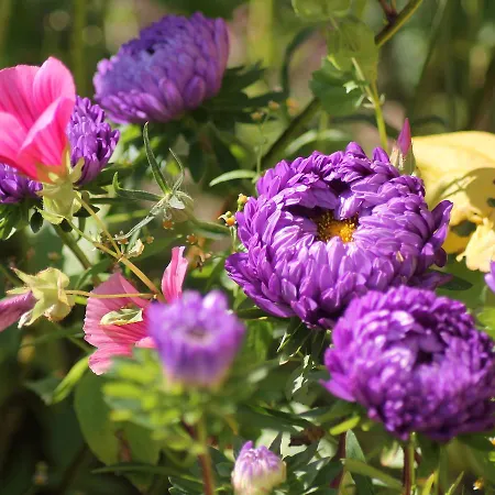 Mit Garten In Apartmán Zweedorf